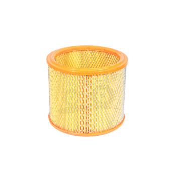 Wkład filtra powietrza Bizon WFP09