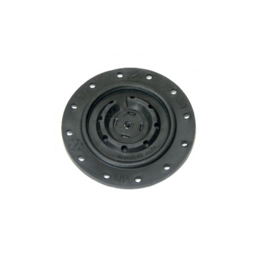 Membrana indykatora DUOVAC