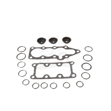 Kpl.uszczelek rozdzielacza