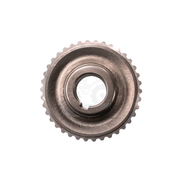 Koło zębate Z-38 RT-800