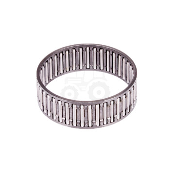 Łożysko igiełkowe INA K55x60x20