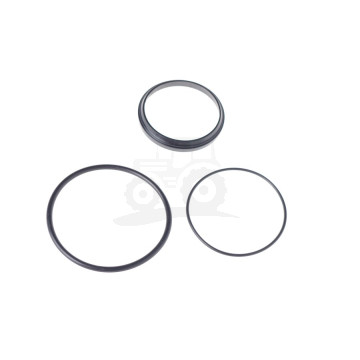 Kpl.uszczelek siłownika