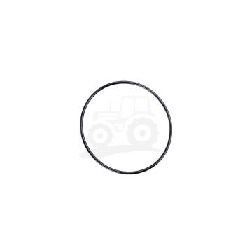 Uszczelka termostatu