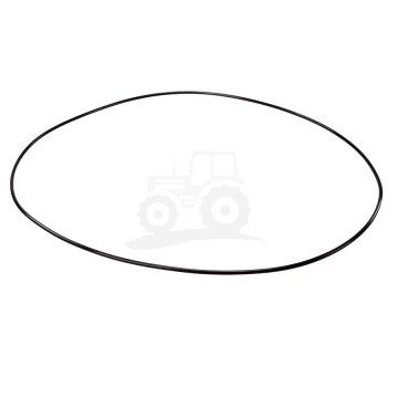 Pierścień oring 304,39x3,53