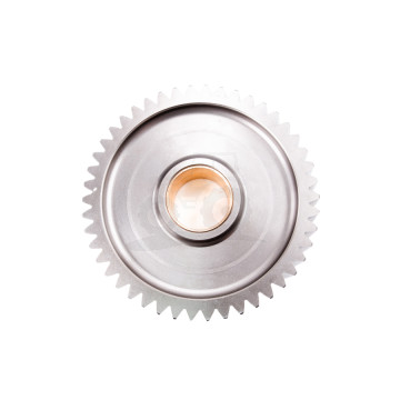 Koło Zębate Żółw Z-46