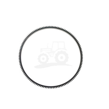 Wieniec koła zamachowego 21/15-10  fi-365 mm