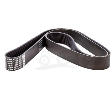 Pasek wielorowkowy  121/01183377