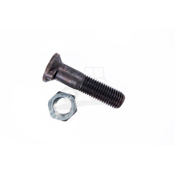 ŚRUBA PŁUŻNA Z NAKRĘTKA M20X85 IND