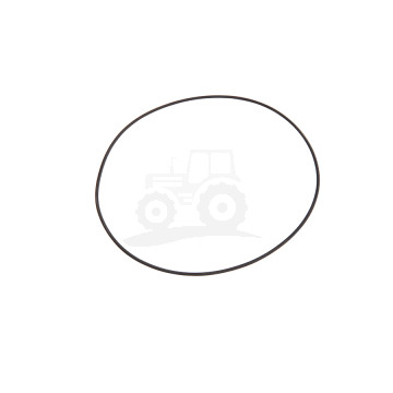 O-ring 48/486-101