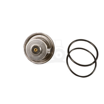 Termostat  BEHR / MAHLE 123/98424854