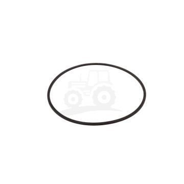 Pierscień 25/306-4  116X123X2MM