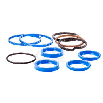 Zestaw uszczelnień siłownika 48/585-77