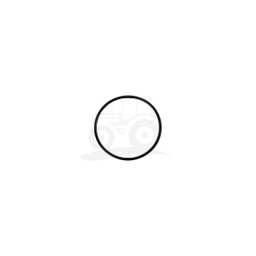 Oring 26/6011-1