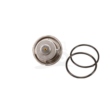 Termostat BEHR / MAHLE