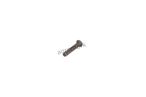 Nit stalki  PN82954