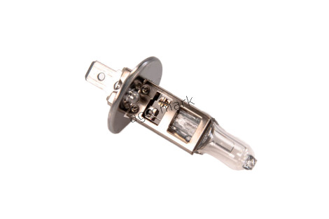 Żarówka LONG LIFE 483223000