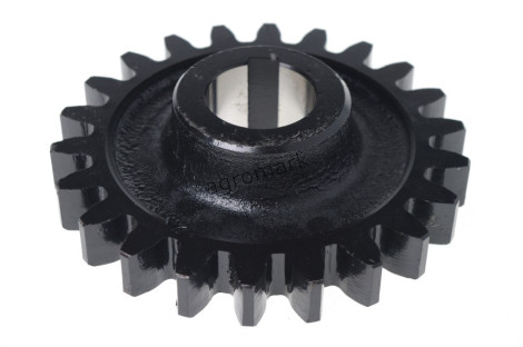 Koło zębate Z-22 202308013800