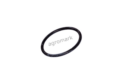 O-ring