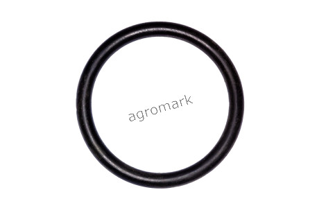 O-ring