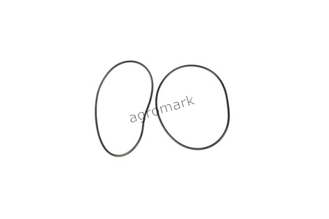 O-ring