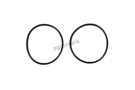 O-ring