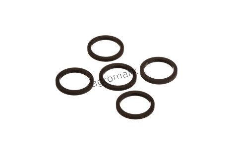O-ring