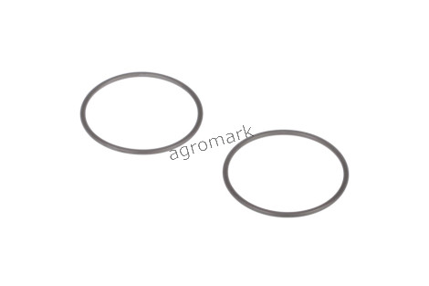 O-ring