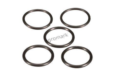 O-ring