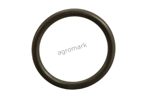 O-ring