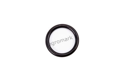 O-ring