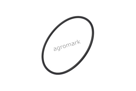 O-ring