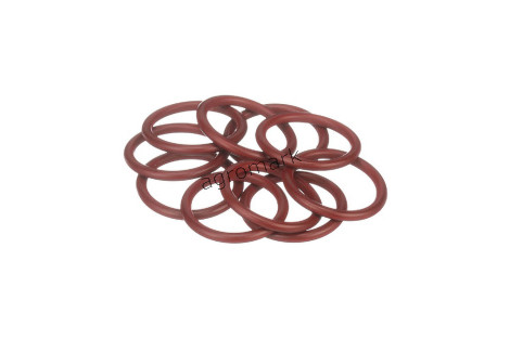 O-ring