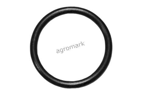 O-ring