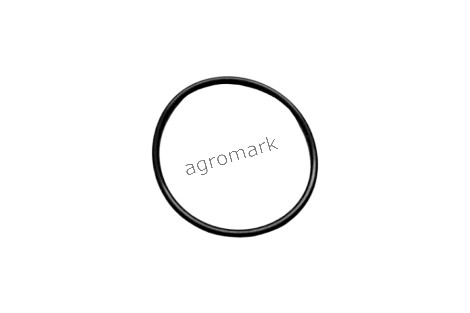 O-ring