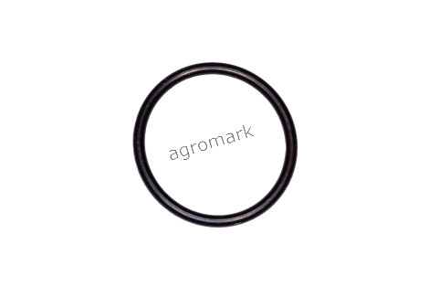 O-ring