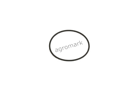 Oring  63,17x2,62