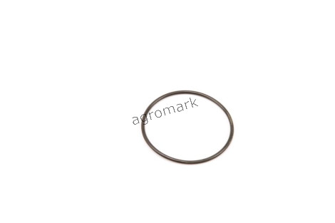 Pierścień oring