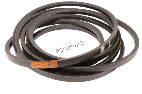 Pasek CL-061353