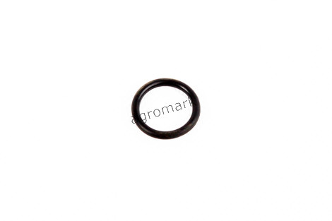 Oring 19x3