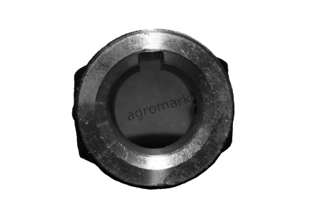 Widłak I FI-30X33,2X8JS9 /wpust/