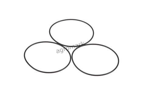 O-ring