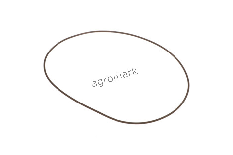 O-ring