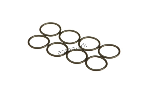 O-RING