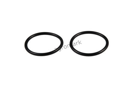 O-ring