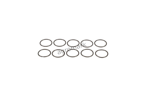 O-ring