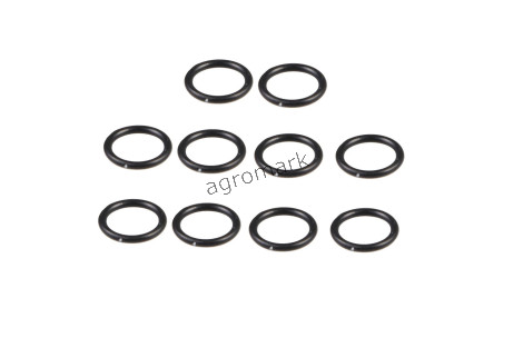 O-ring