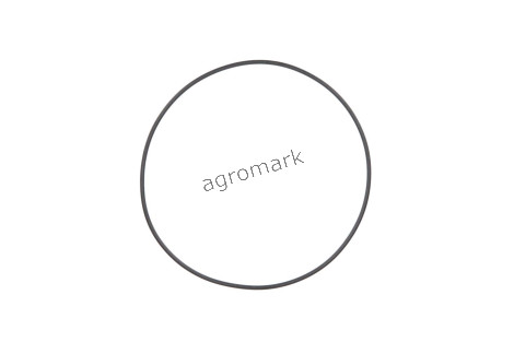 O-ring