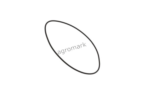 O-ring