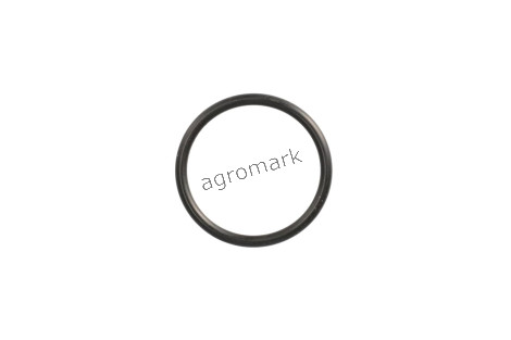 O-ring