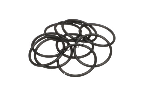 O-ring